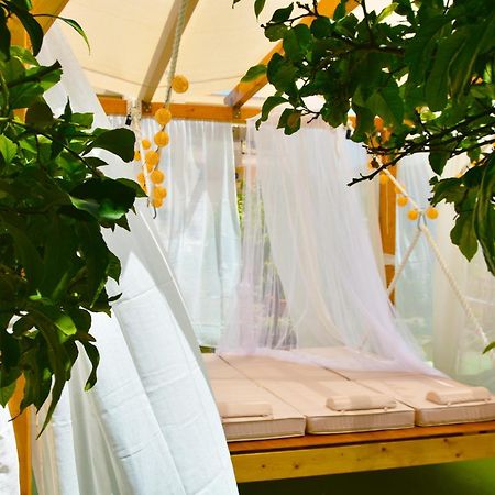 Converted Shed Studio & Garden Hanging Bed Pórto Ráfti Eksteriør billede